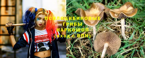 прущий лед Богородск