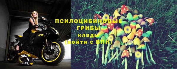 2c-b Богородицк
