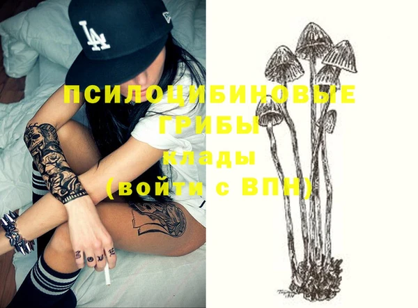 МДПВ Богданович