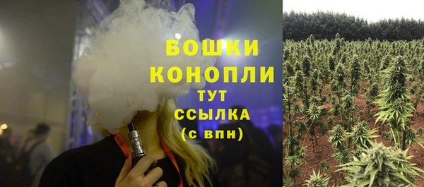 2c-b Богородицк